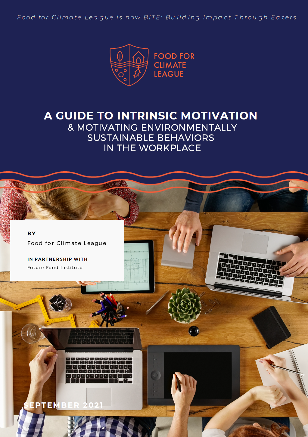 A Guide to Intrinsic Motivation