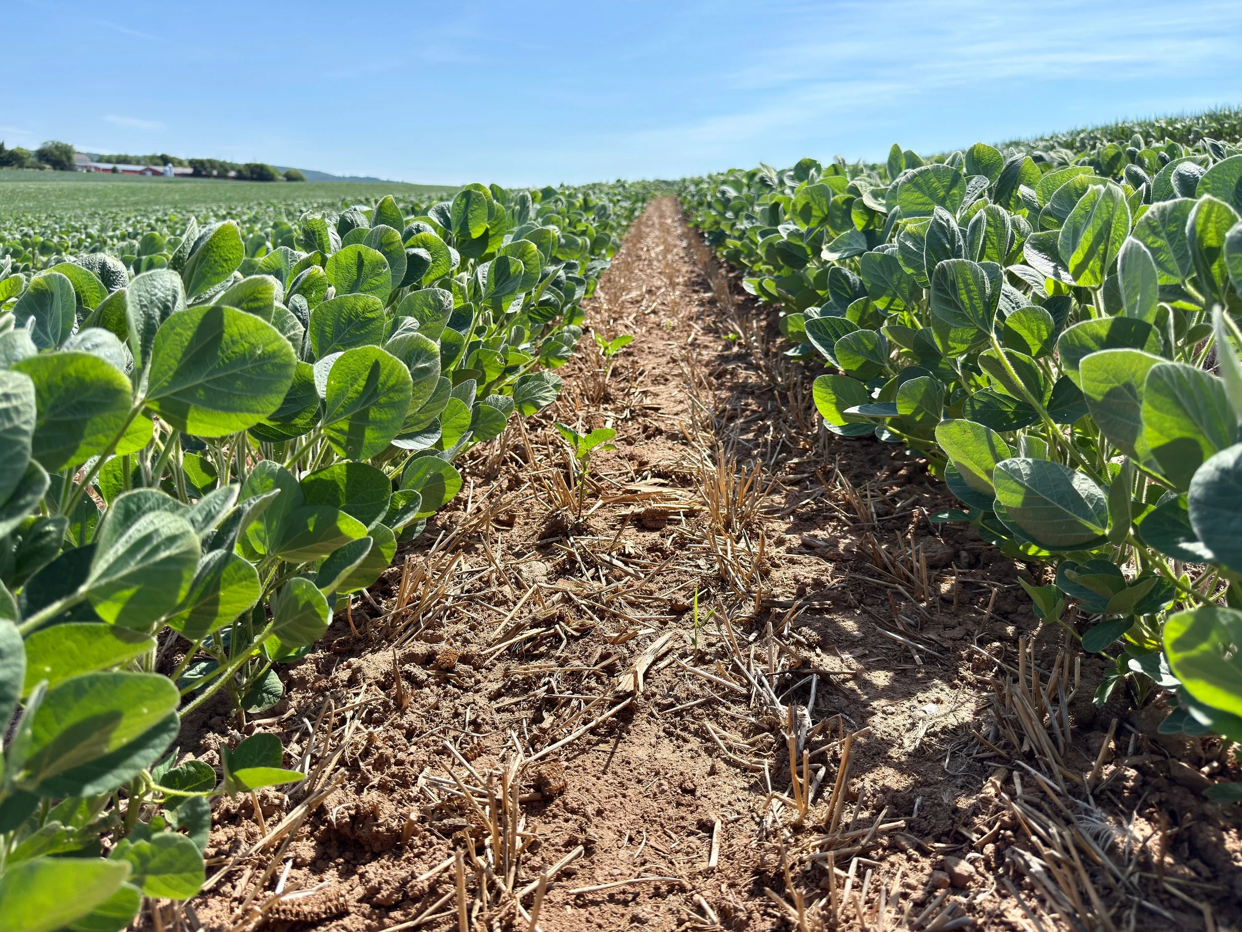 Regenerative farming