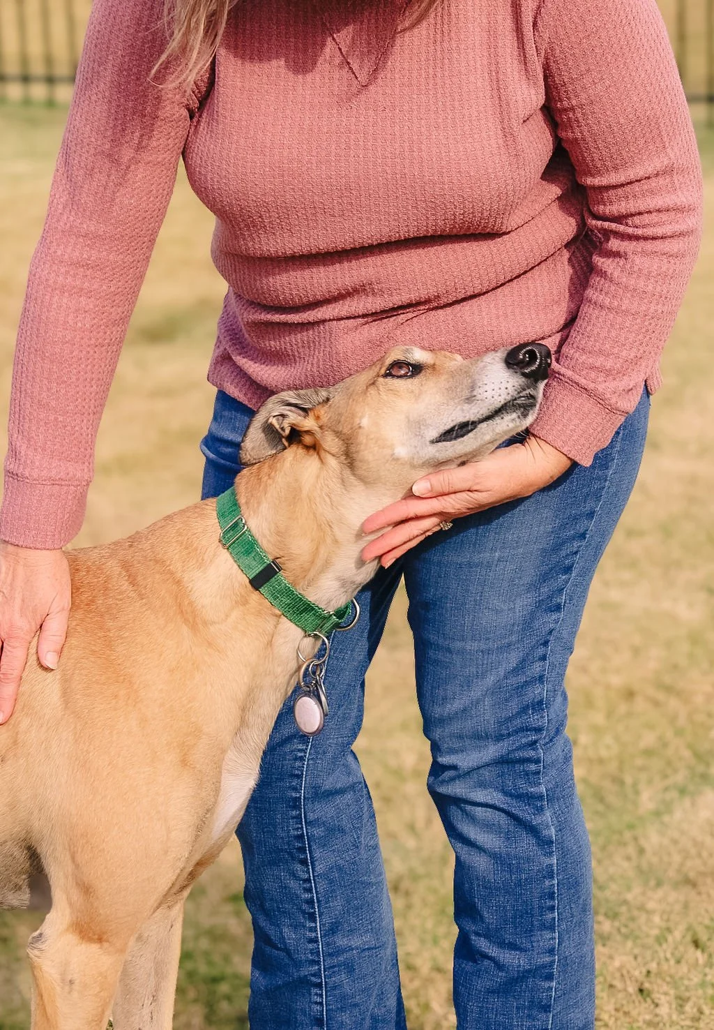 The owner of PetsTalkIListen.com lovingly petting her dog while the dog adoringly communicates his love for her with his eyes.