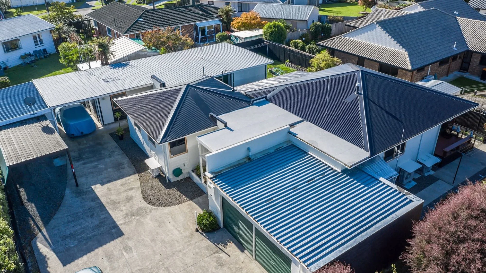 FB_IMG_1764368764658 copy-2000px.jpg