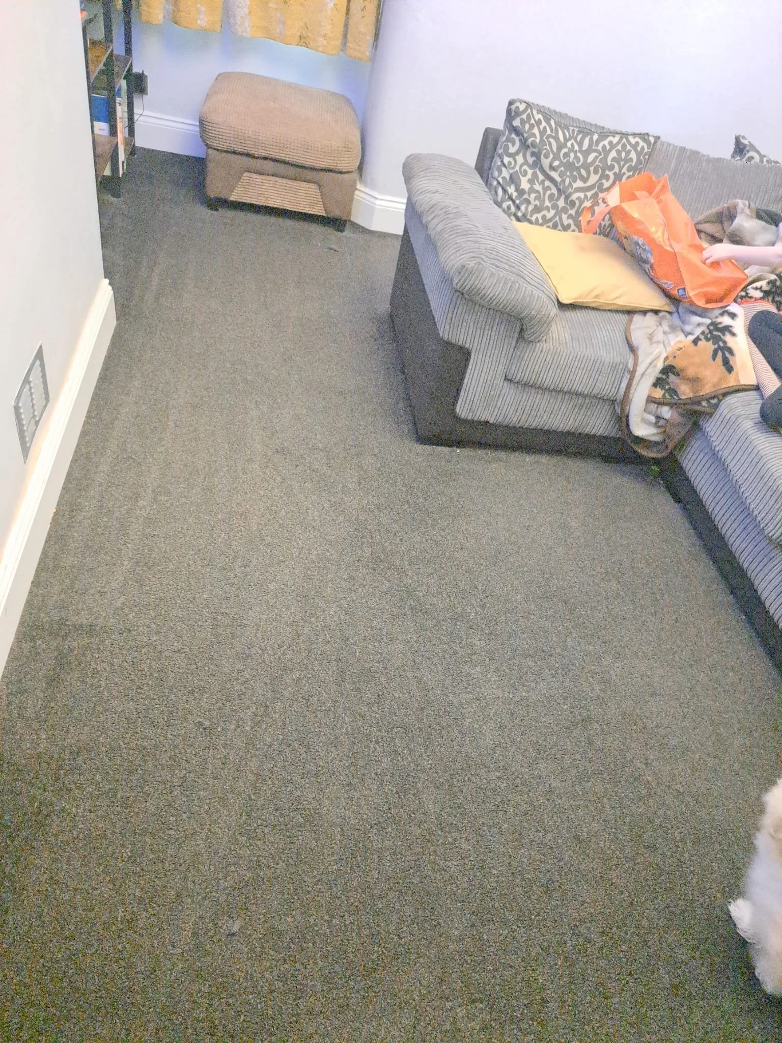 Living room with gray striped couch, yellow pillow, patterned cushions, blanket, orange bag, small dog, beige ottoman, bookshelf, and curtains.