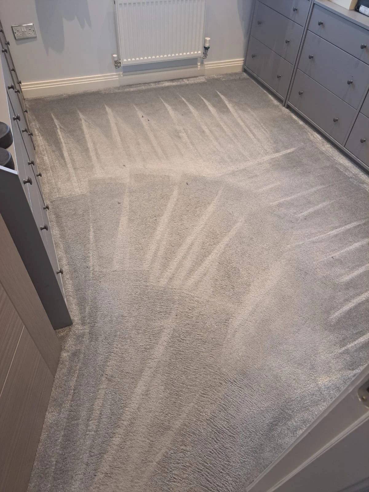 January Carpet Cleaning: Start the New Year Fresh with Coastal Clean Carpets