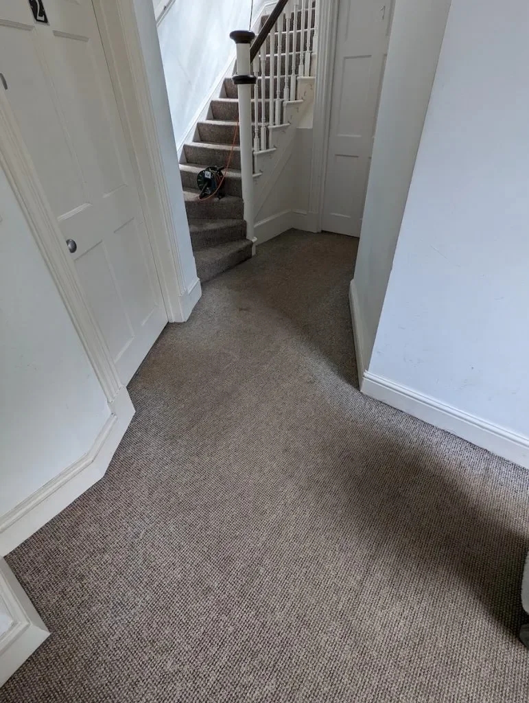 Interior view of a house showing a carpeted hallway leading to a staircase with a brown carpet and white railing, and a closed door on the right side.