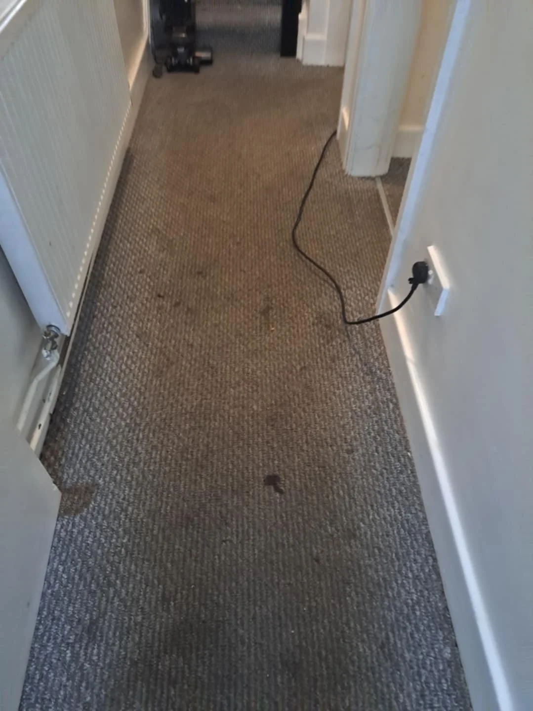 A hallway with a brown carpet that has a small dark stain. There is a black electrical cord plugged into an outlet on the right side, running across the carpet. In the background, there are closed doors and a black object near the wall.