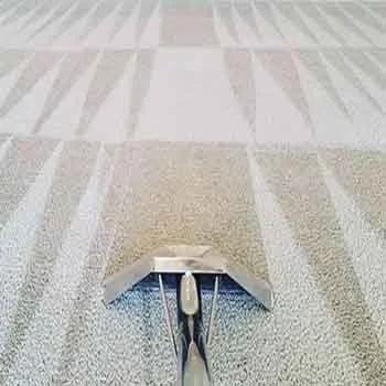 Close-up of a vacuum cleaner attachment on a carpeted floor