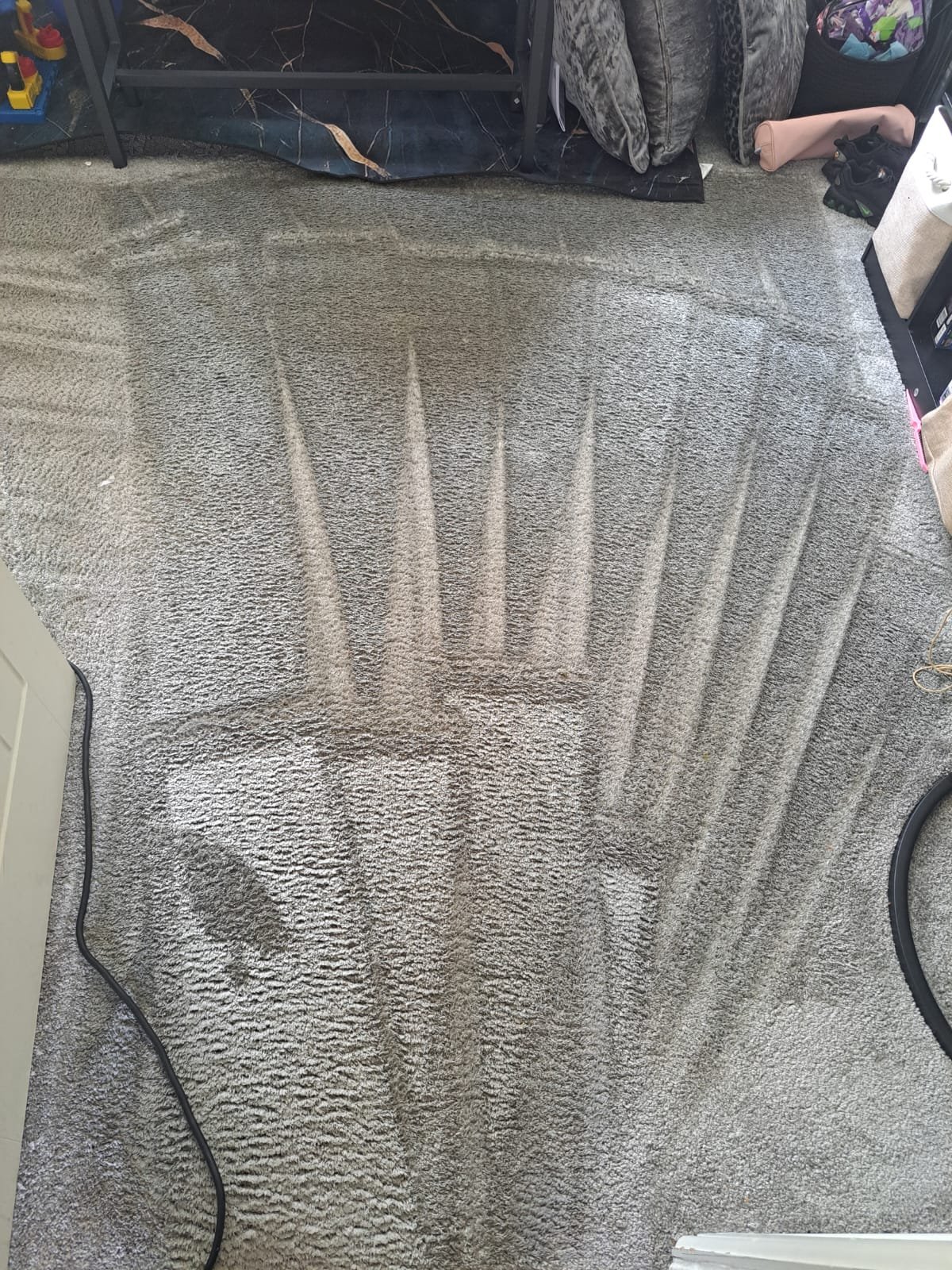 A beige carpet with visible vacuum cleaner marks and lines indicating cleaning. Various household items and bags are visible on the edges of the room.