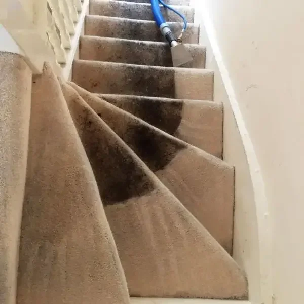 A staircase with a brown carpet, showing a large dark stain, and a blue and gray vacuum cleaner on top of the stairs.