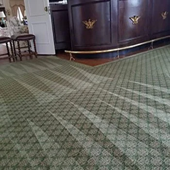 Close-up of a patterned green carpet in a room with dark wood furniture and a white door.