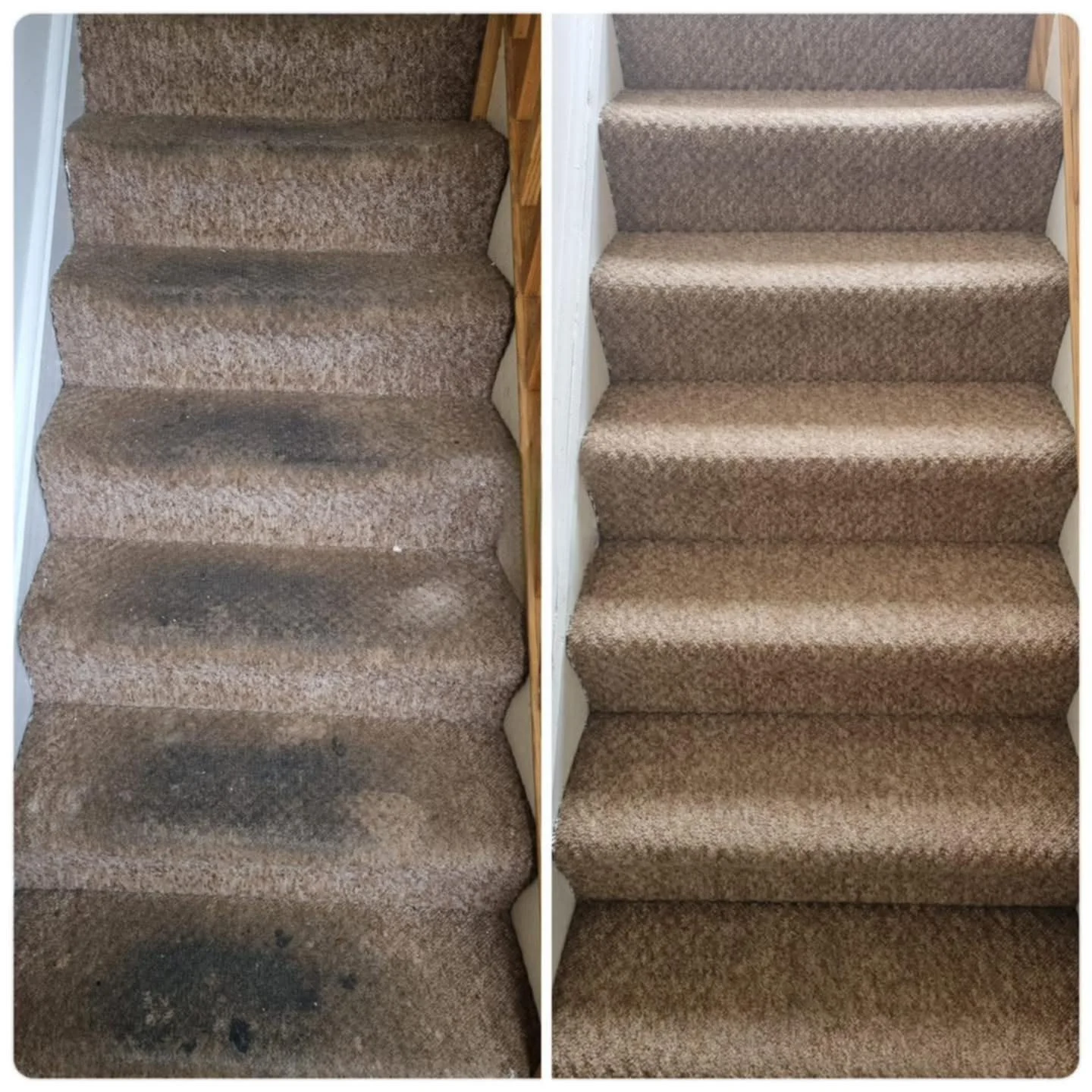 Comparison of a stained, dirty carpeted staircase on the left and a clean, well-maintained carpeted staircase on the right.