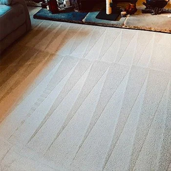 A light-colored carpet with vacuum cleaner lines in a living room.
