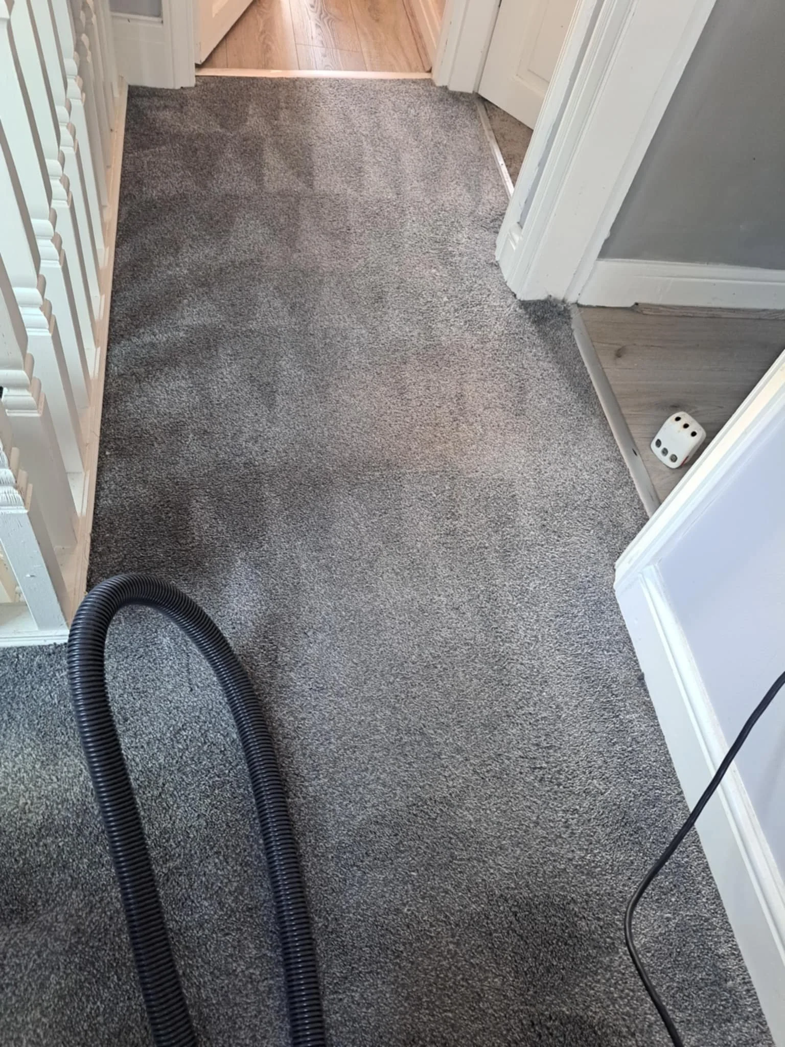 A hallway with beige and gray walls, brown carpeting, and a wooden floor visible through an open door. There is a black vacuum hose on the carpet and a white dice with black dots on the floor.