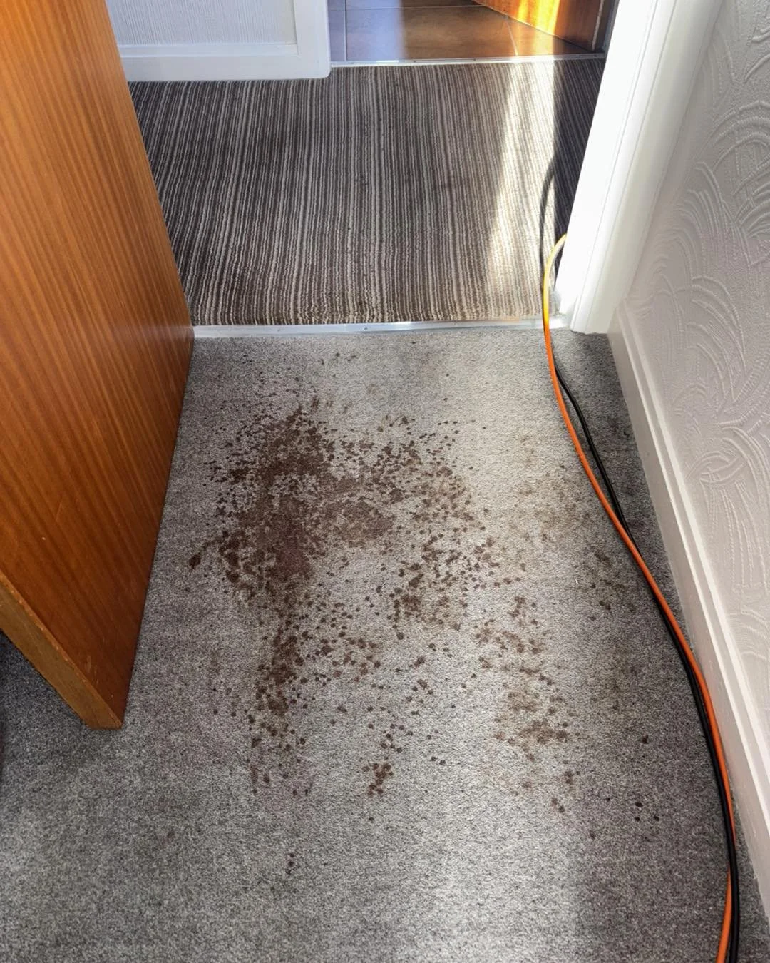 Carpet with large brown spill or stain near the doorway, with electrical cords running along the baseboard.