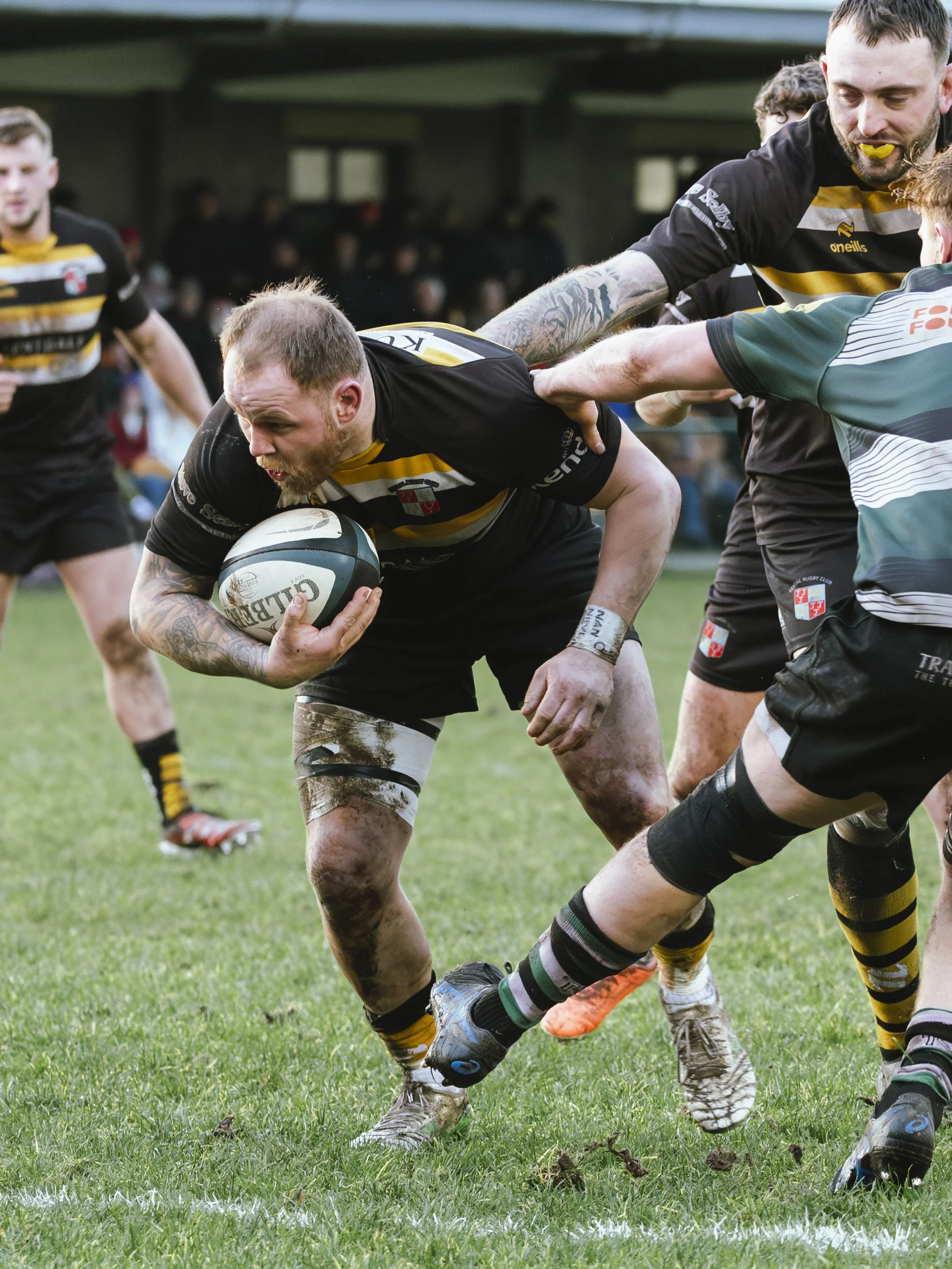 Kendal RUFC vs York | 20.12.2025
