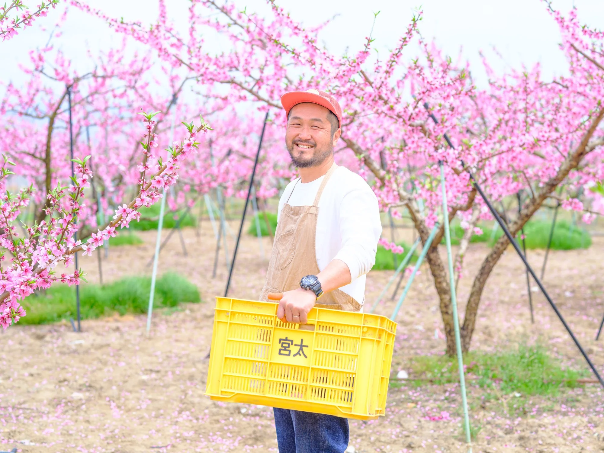 [ 動画 ] MIYATA PEACH.