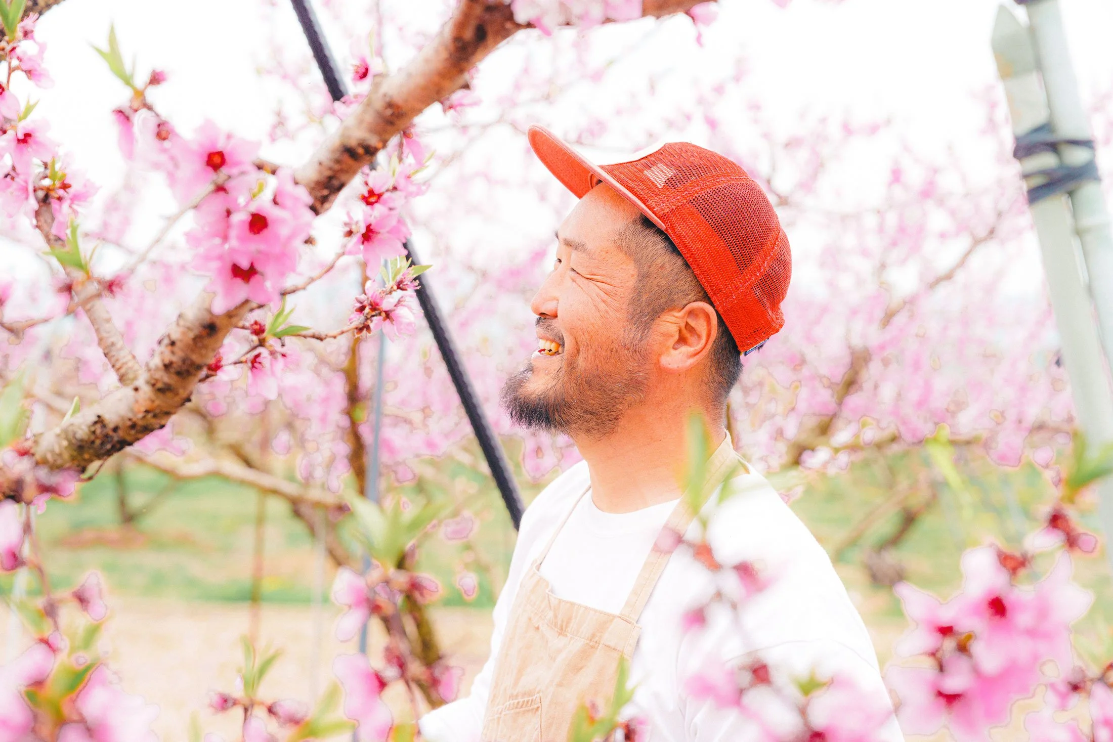桃の花を背景に、笑顔で赤いキャップをかぶった男性の横顔