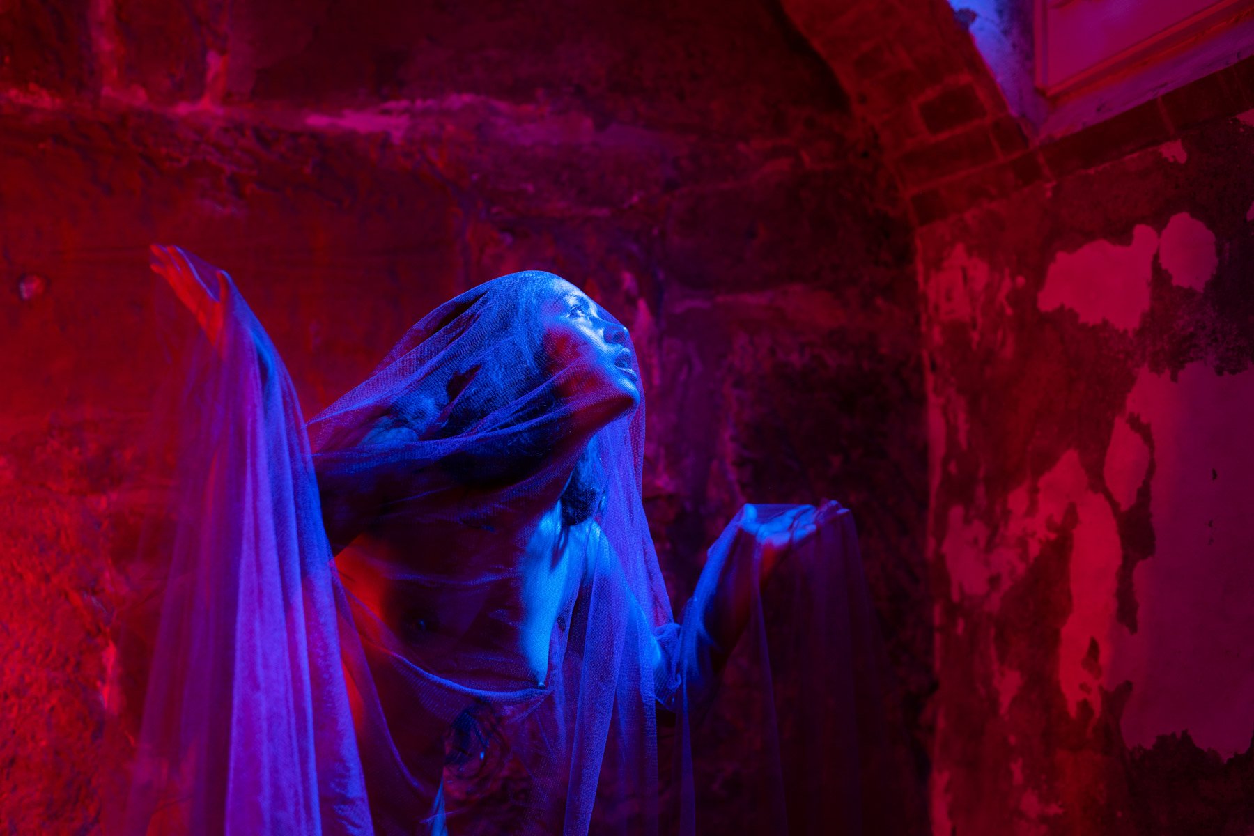 Rudolf Mäusli - Chloe Rose 01.jpg