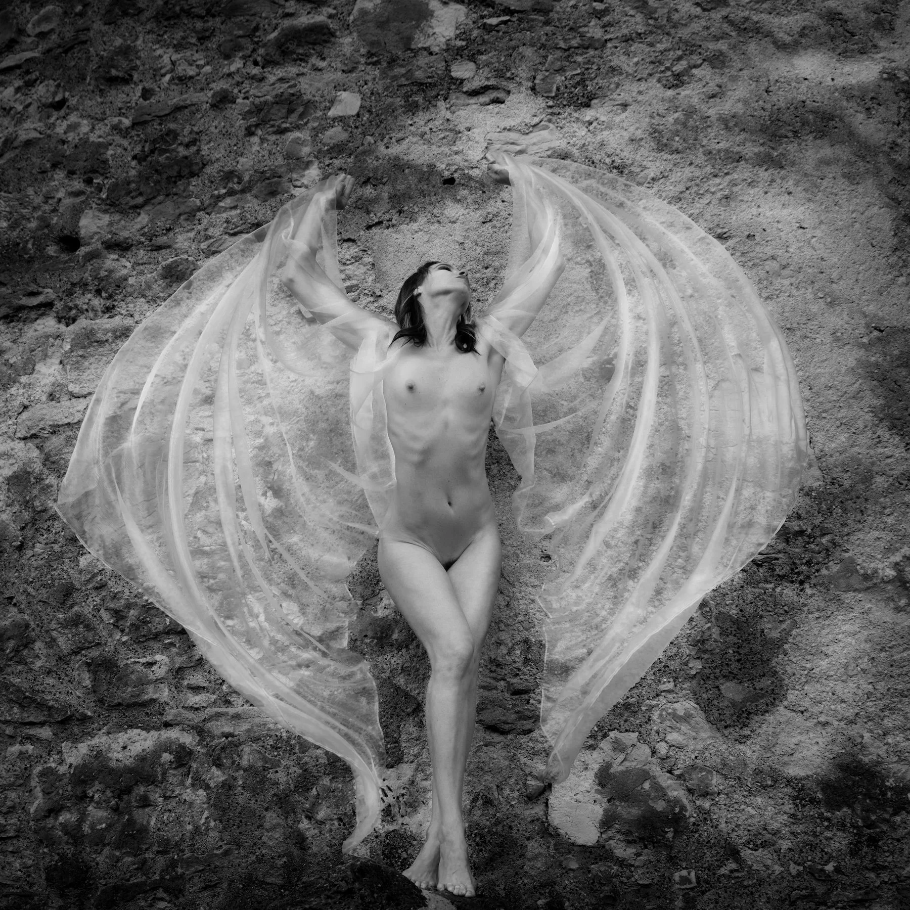 Christoph Schnyder_1.jpg