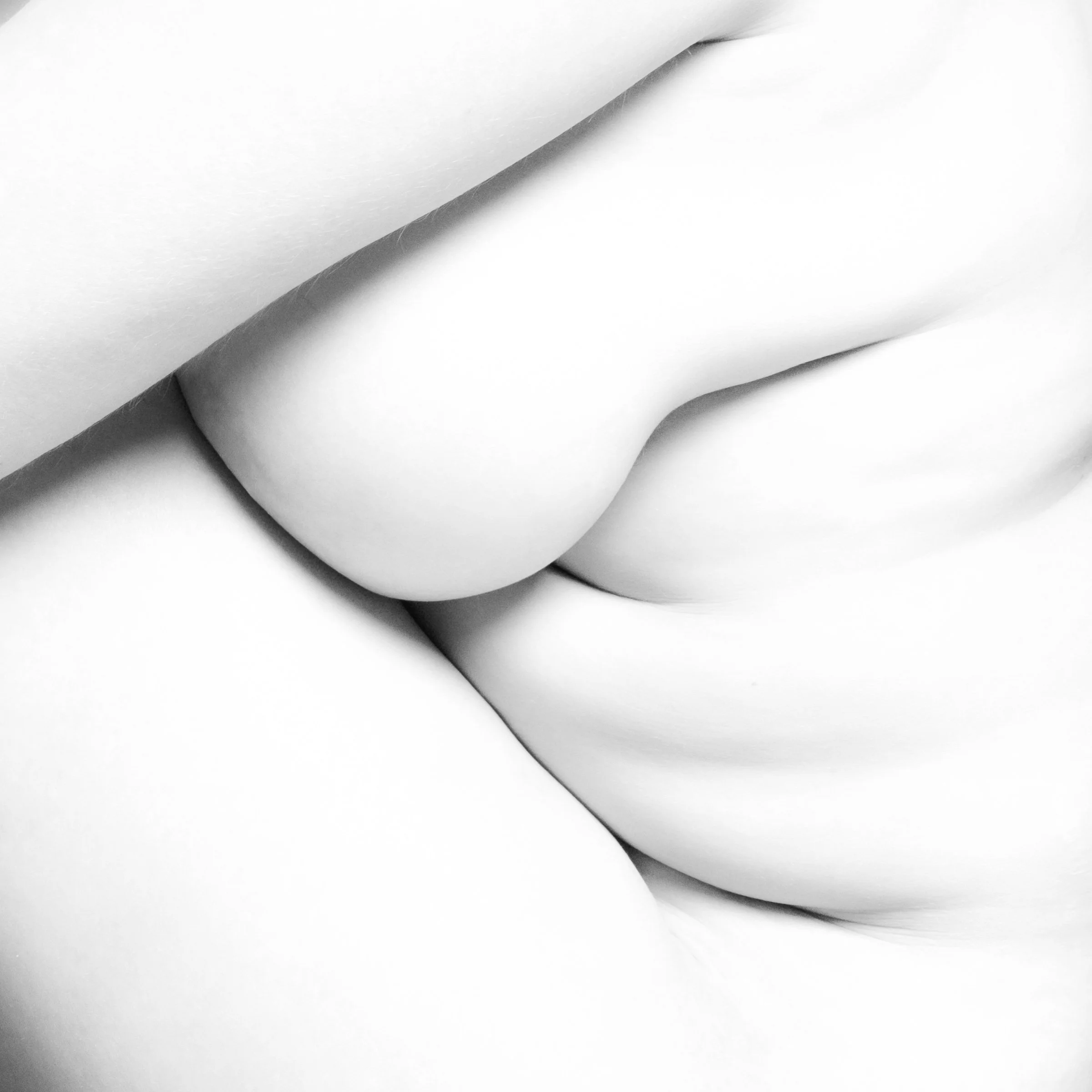 Konsti_Weiss_Skin Folds.jpg