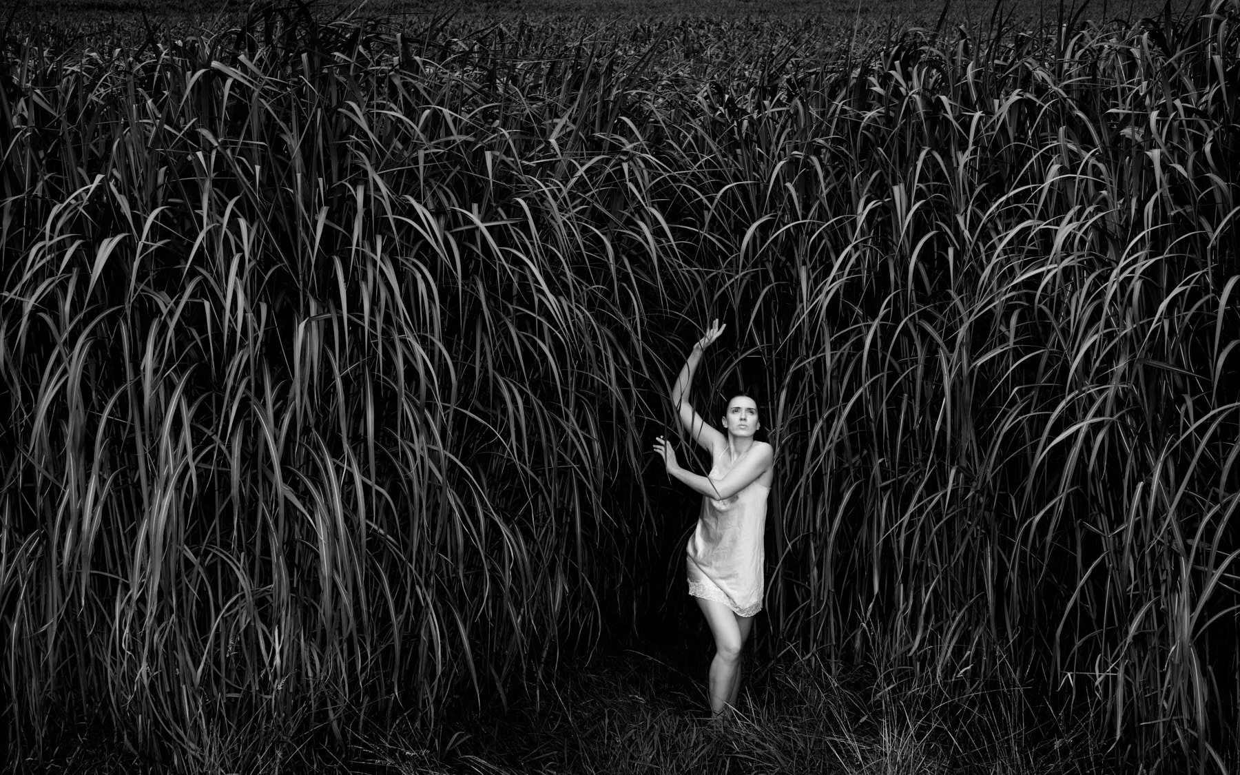 Daniel Braendli - In the field 01 BW.jpg