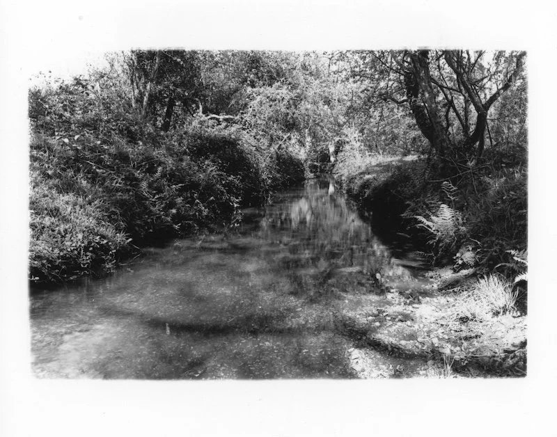 Brockenhurst stream 1