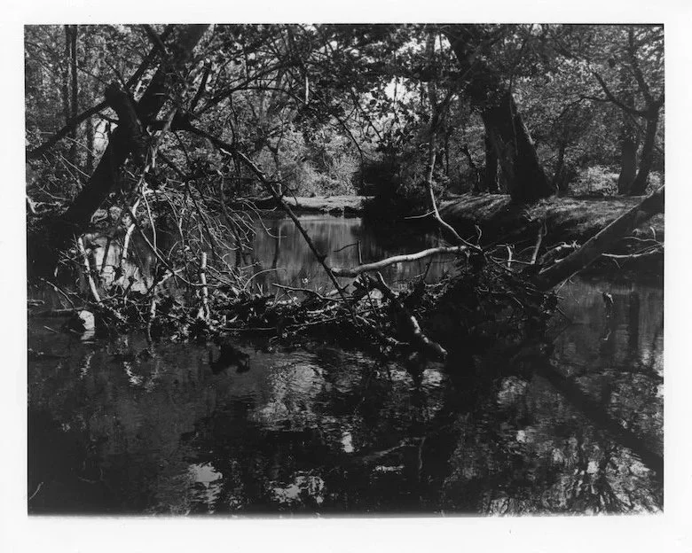 Brockenhurst Stream 2