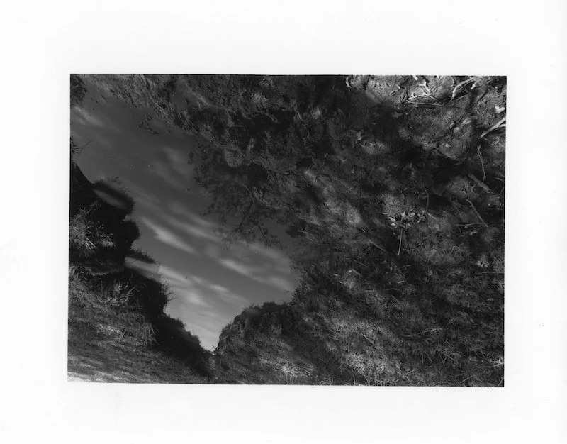 Longslade Puddle 1