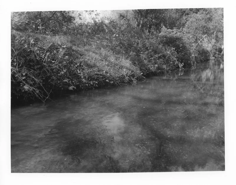 Brockenhurst Stream 4