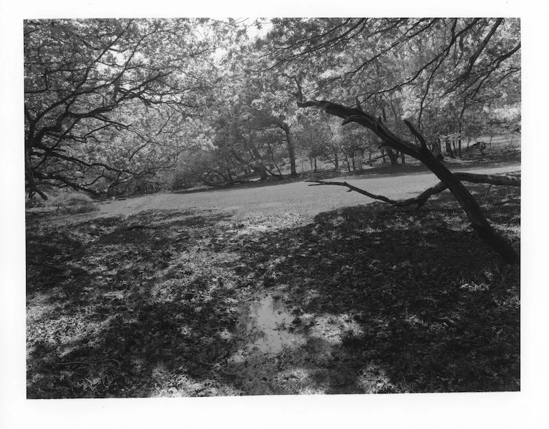 Clayhill 1