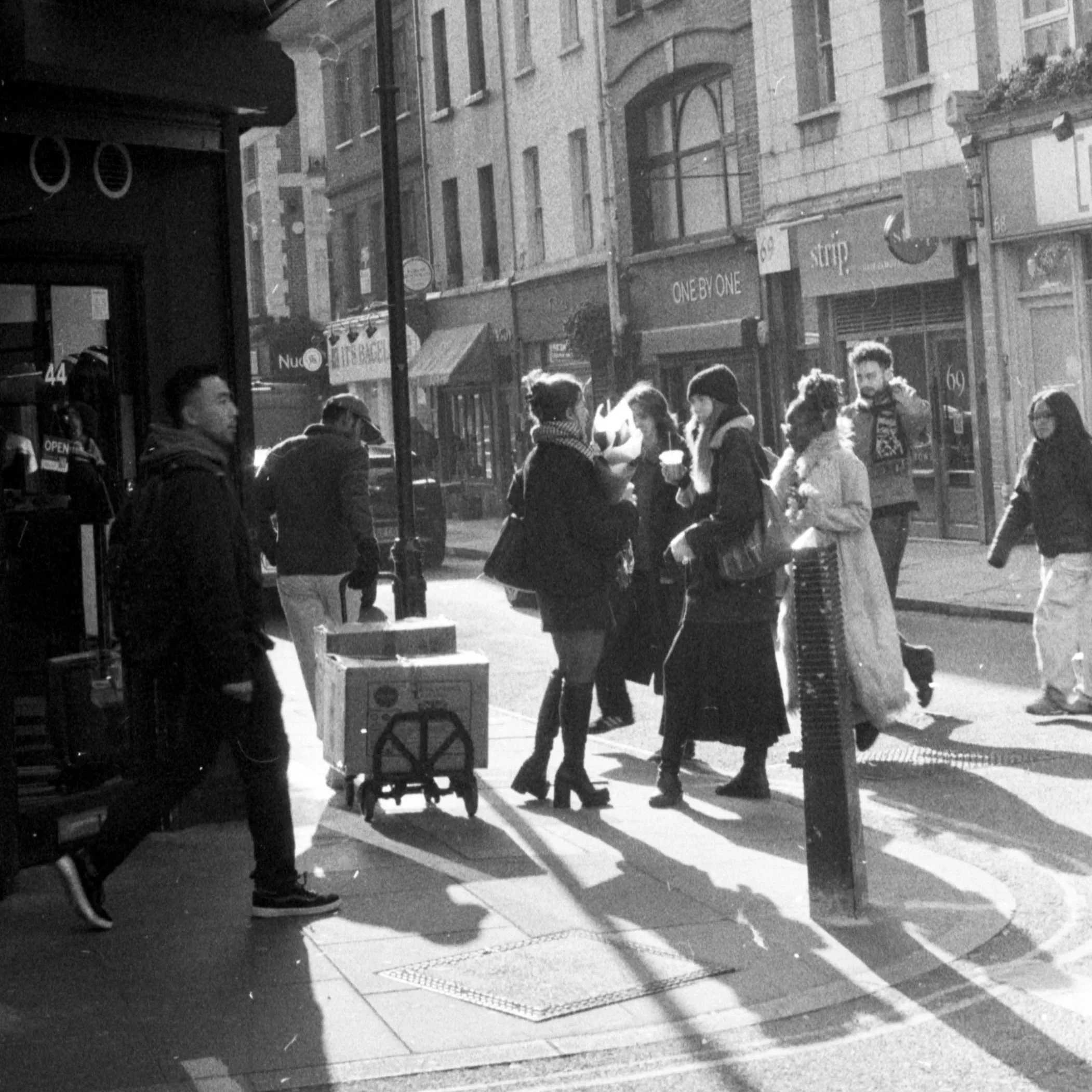 Life in Analogue
