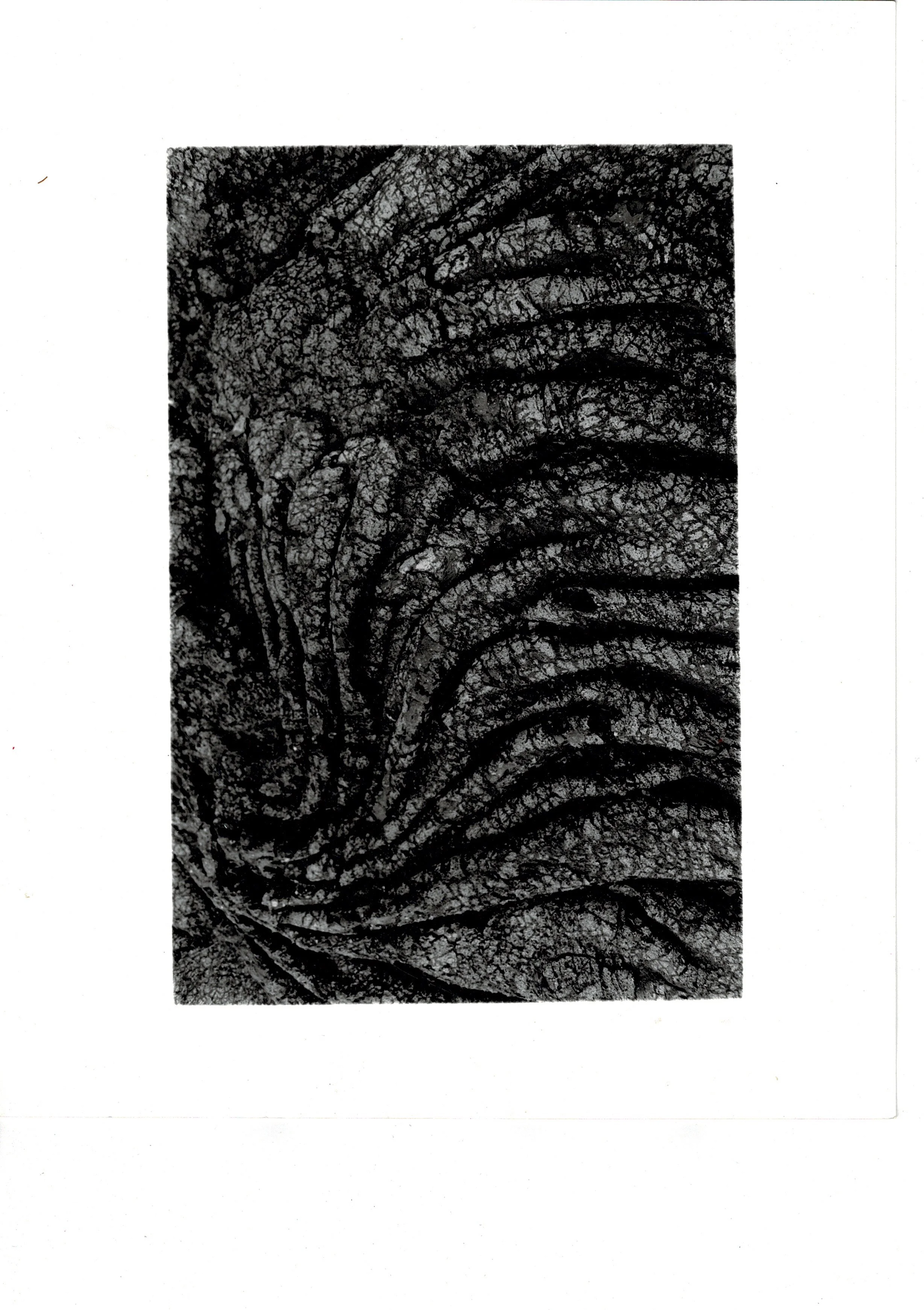 Black and white close-up photograph of textured lava flow ridges in Iceland, hand-printed darkroom analogue print
