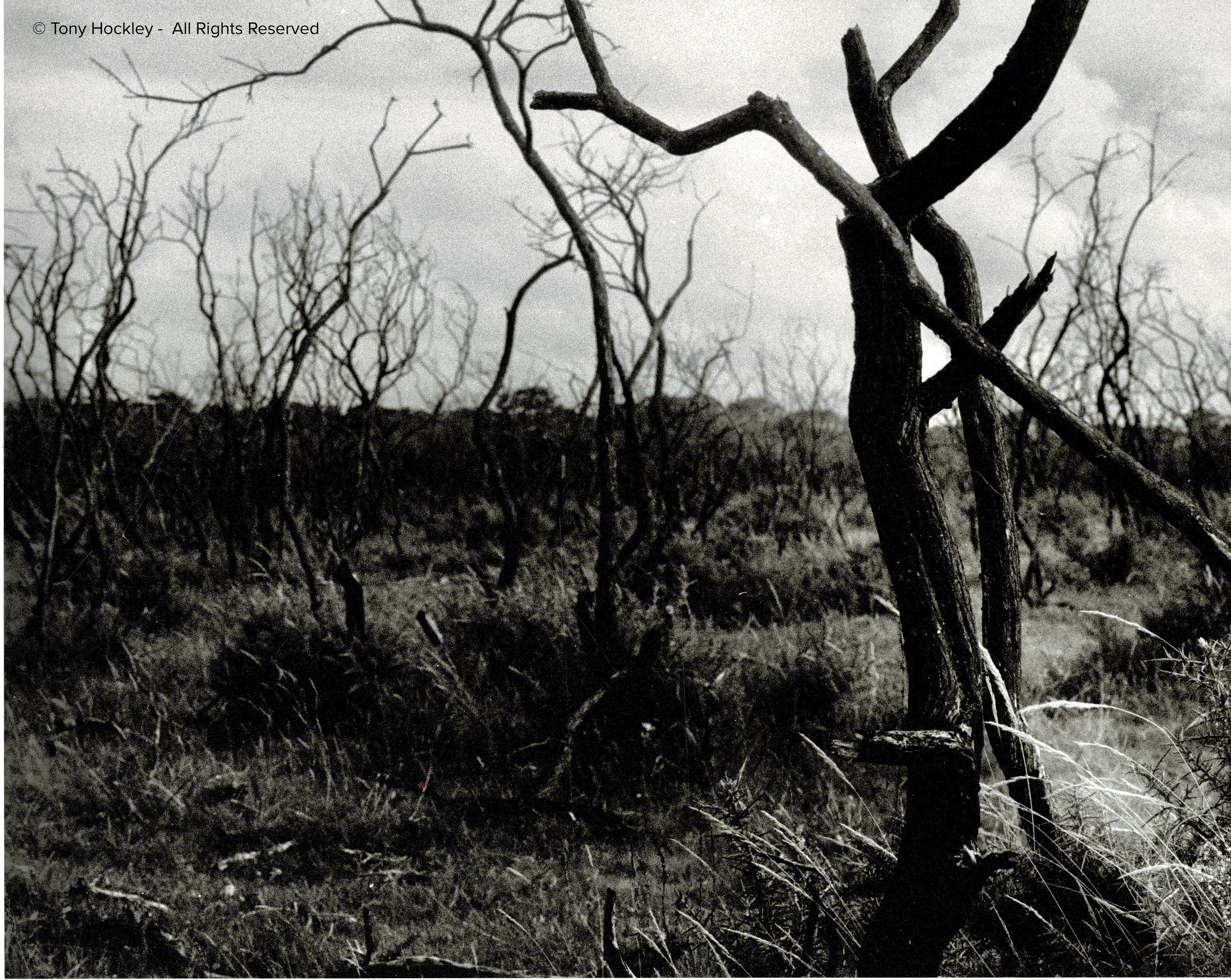 rural-analogue-photographer.jpg