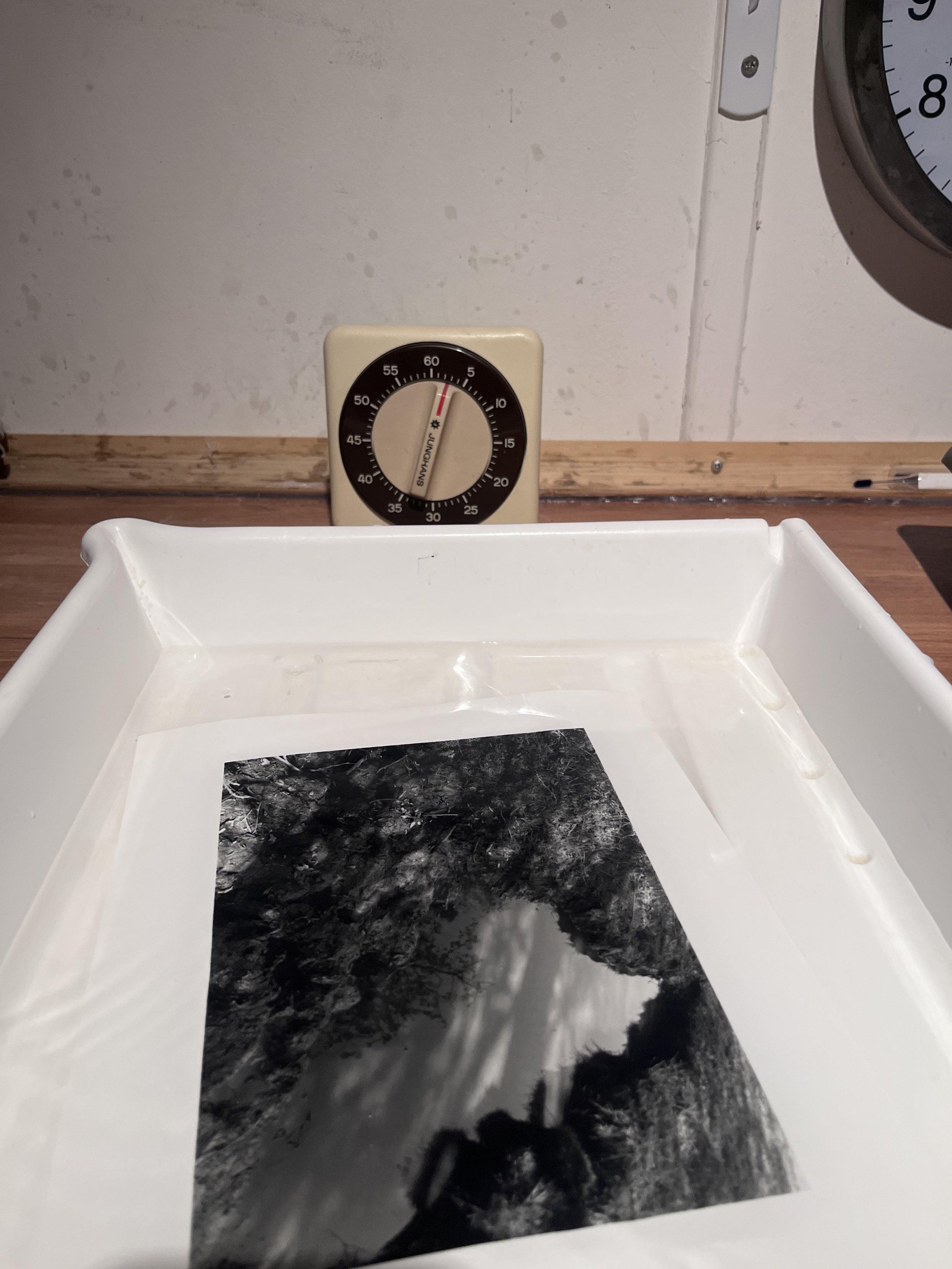 A photographic print emerging in the developing tray in Tony Hockley's darkroom