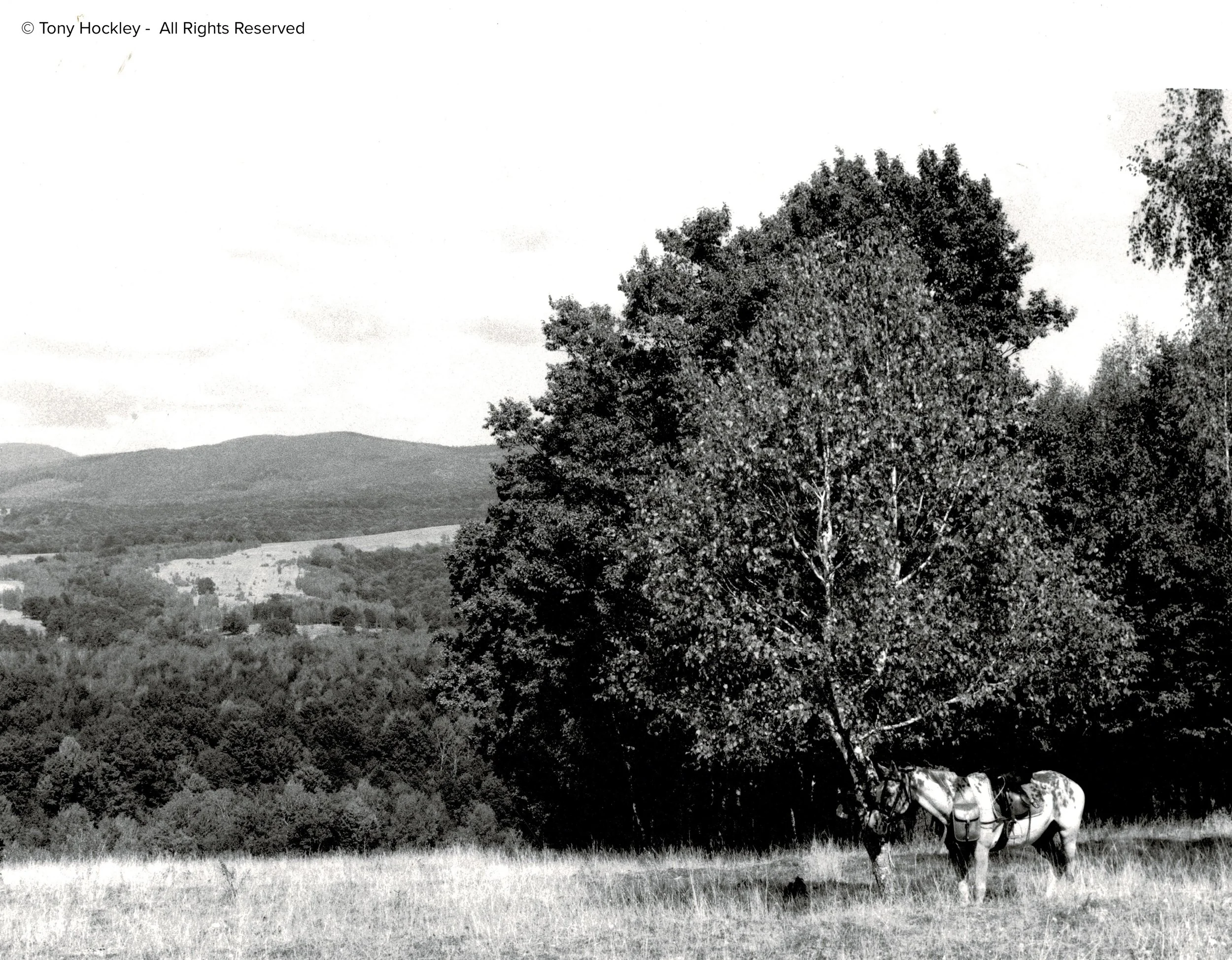 travel-analogue-photographer-2.jpg