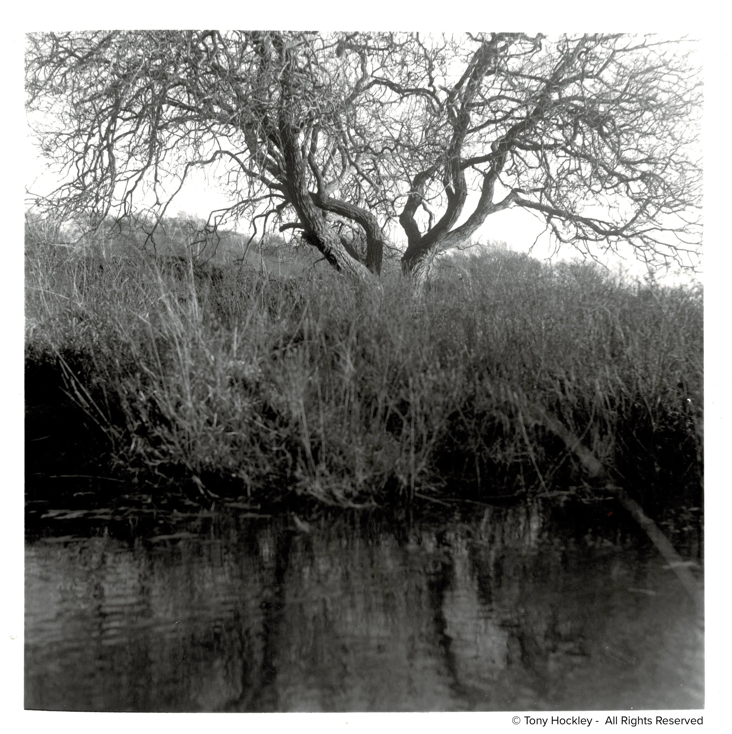 rural-analogue-photographer-2.jpg
