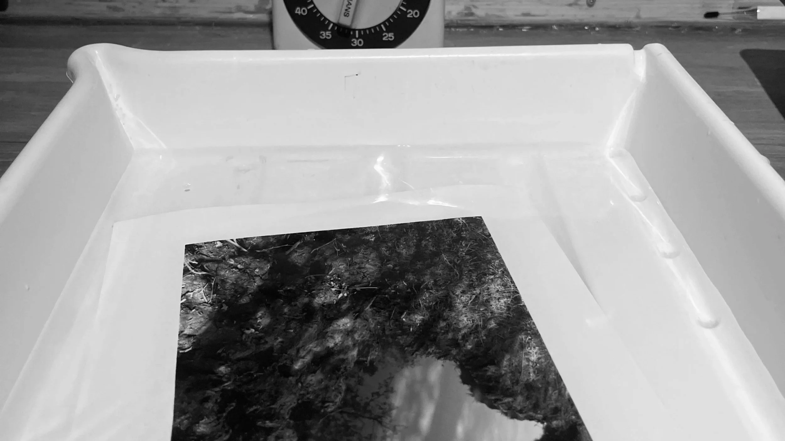 analogue photography printing process