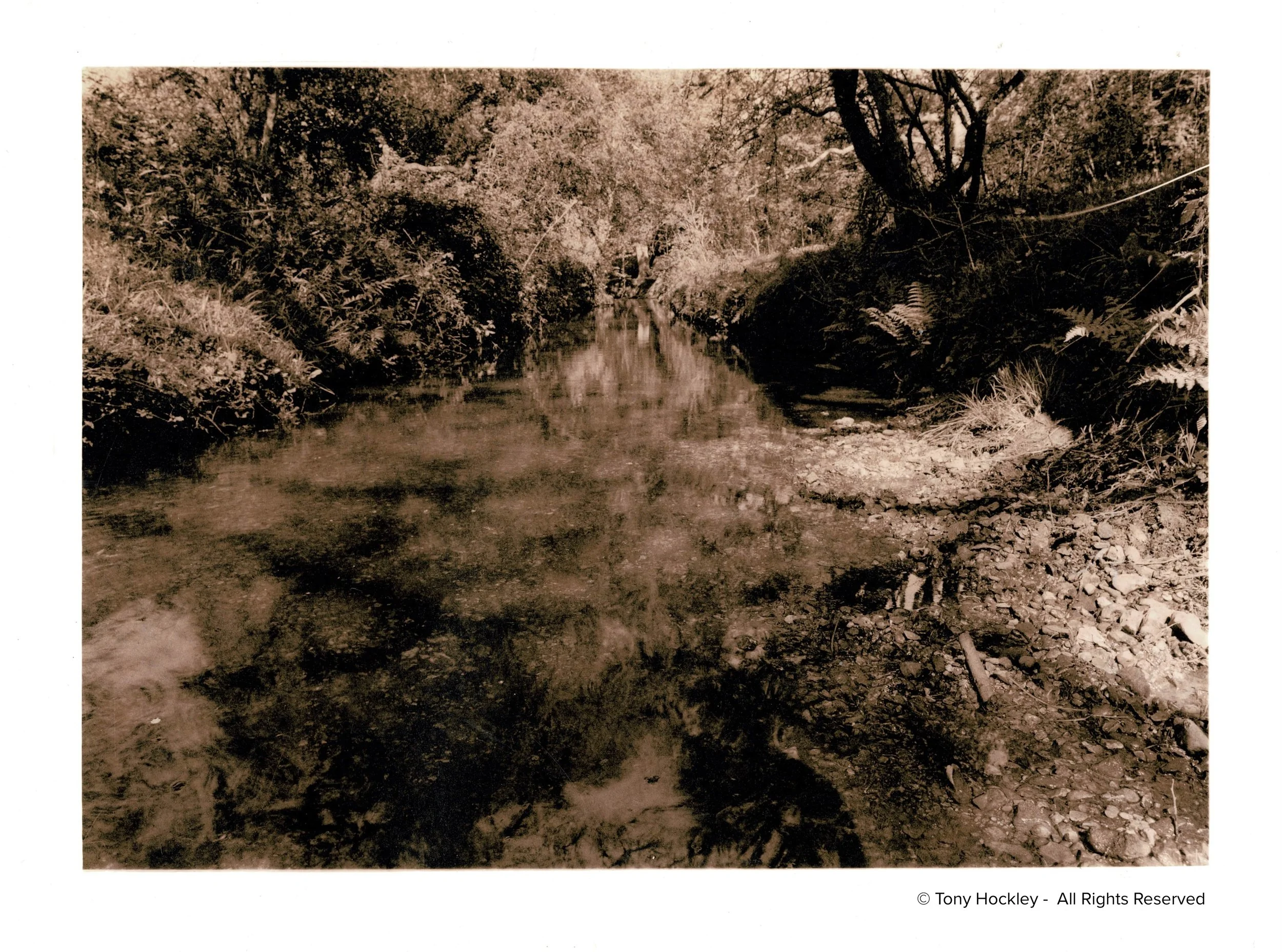 rural-analogue-photographer-1.jpg