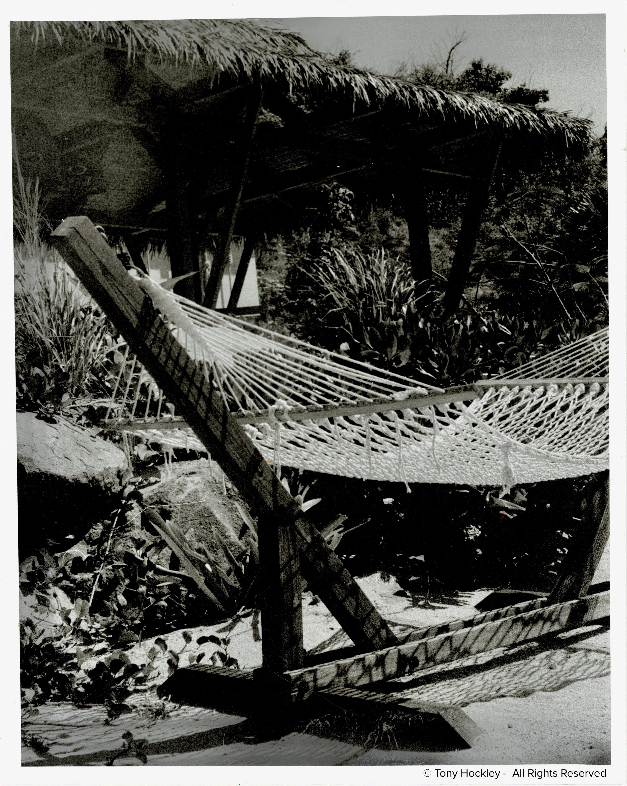 travel-analogue-photographer.jpg