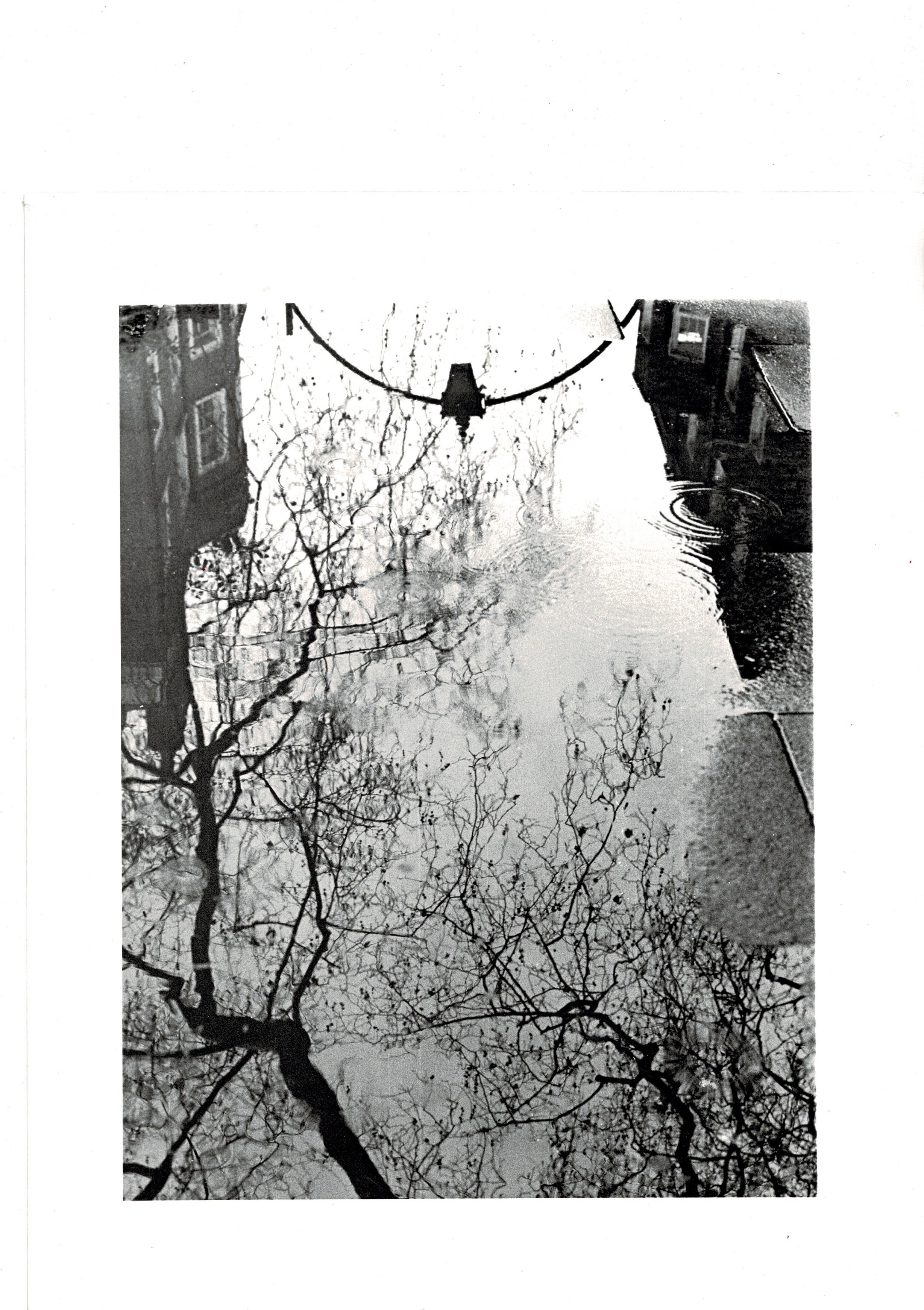 Black and white reflection of a lamppost and bare trees in a Soho Square puddle, hand-printed darkroom analogue photograph