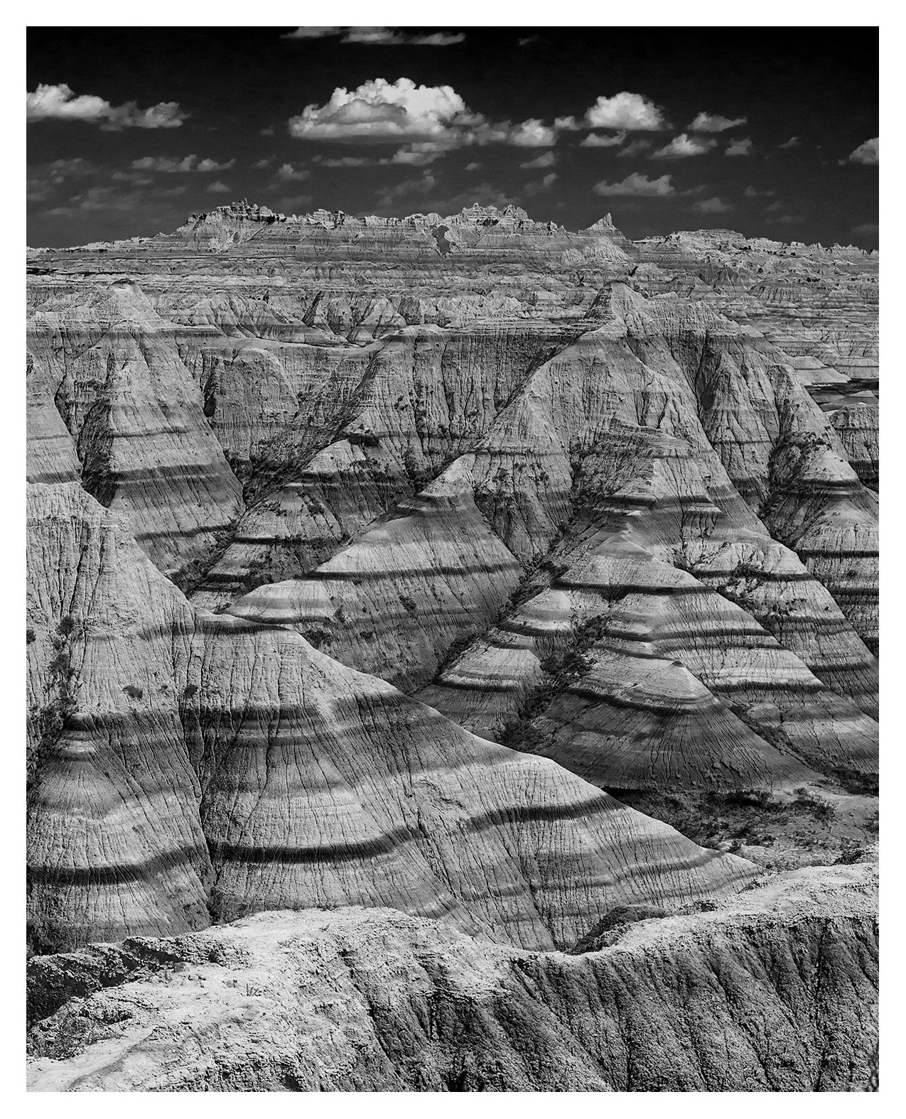 DSC_6842 4x5 B&W.jpg
