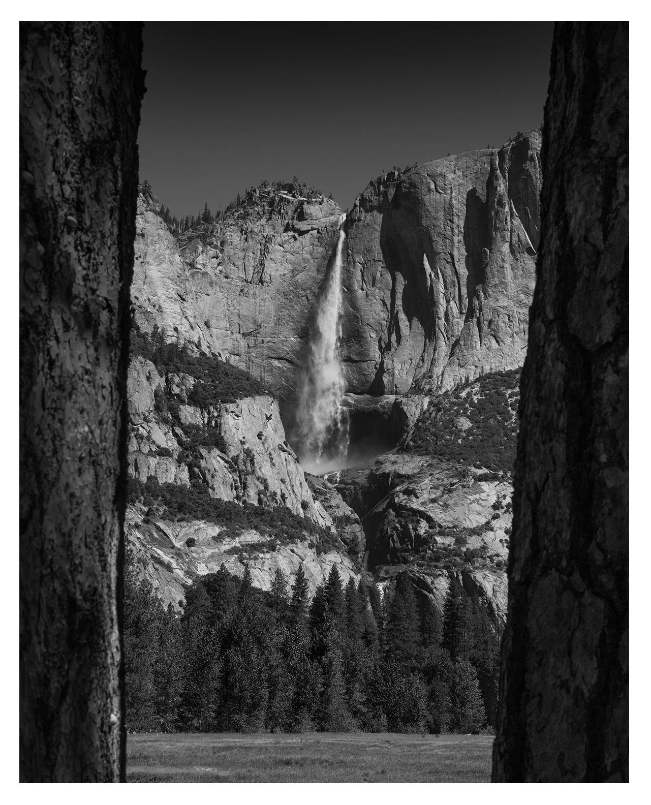 Between the Pines, Yosemite Nation Park 2026