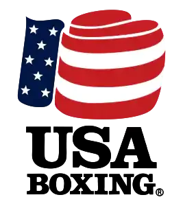 A patriotic illustration of a speech bubble with the American flag pattern, featuring stars and red-and-white stripes.