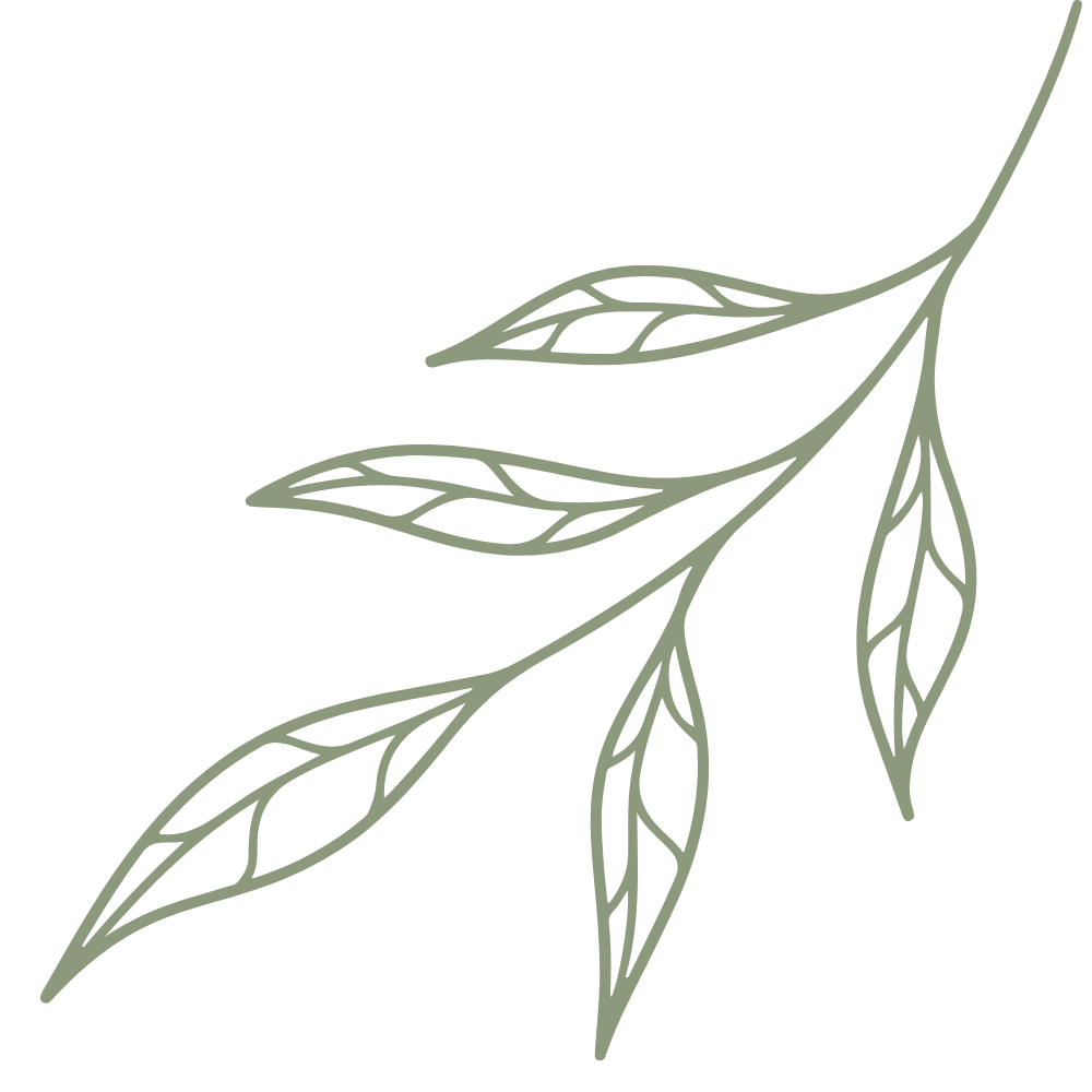 Une illustration minimaliste de feuilles d'une plante, dessinées avec des lignes fines et élégantes, sur fond noir.