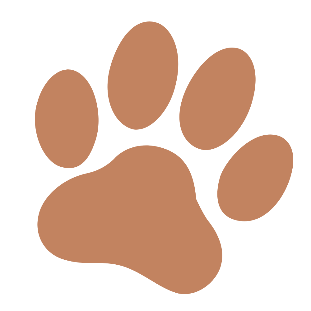 Empreinte de patte de chien de couleur marron