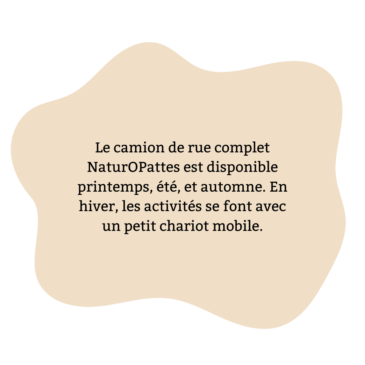 Texte en français sur un fond beige irregular maintenu par une forme noire, annonçant la disponibilité du camion de rue NaturOAttes en toutes saisons, avec une activité spéciale en hiver avec un petit chariot mobile.