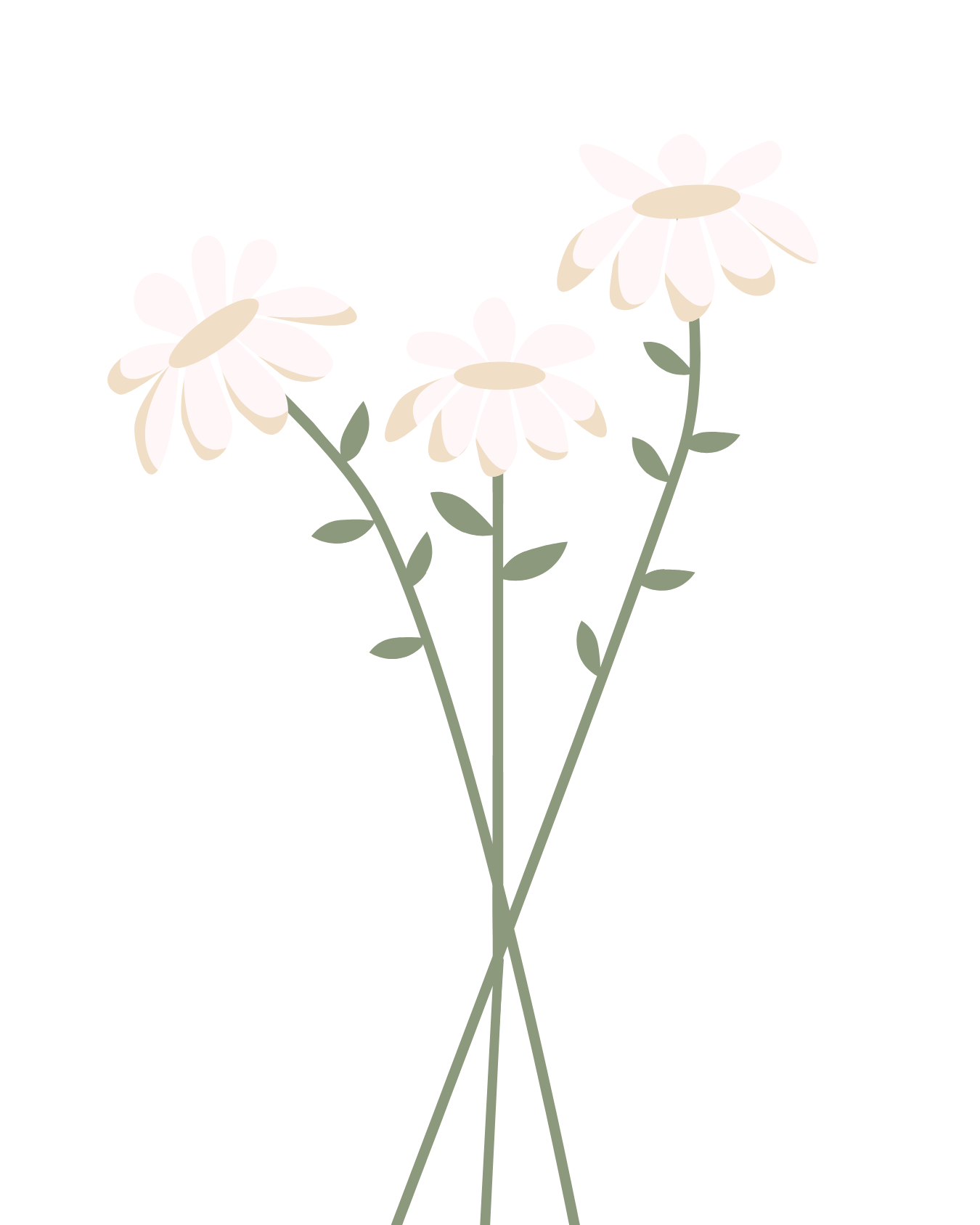 Illustration de trois marguerites blanches avec des tiges et des feuilles vertes sur un fond noir.