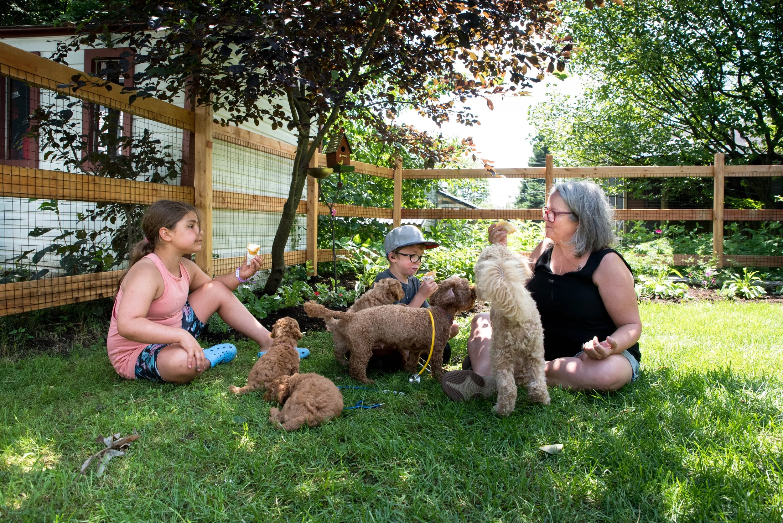 Une femme et deux enfants jouent avec plusieurs chiots dans un jardin ensoleillé, entourés de végétation et clôture en bois.