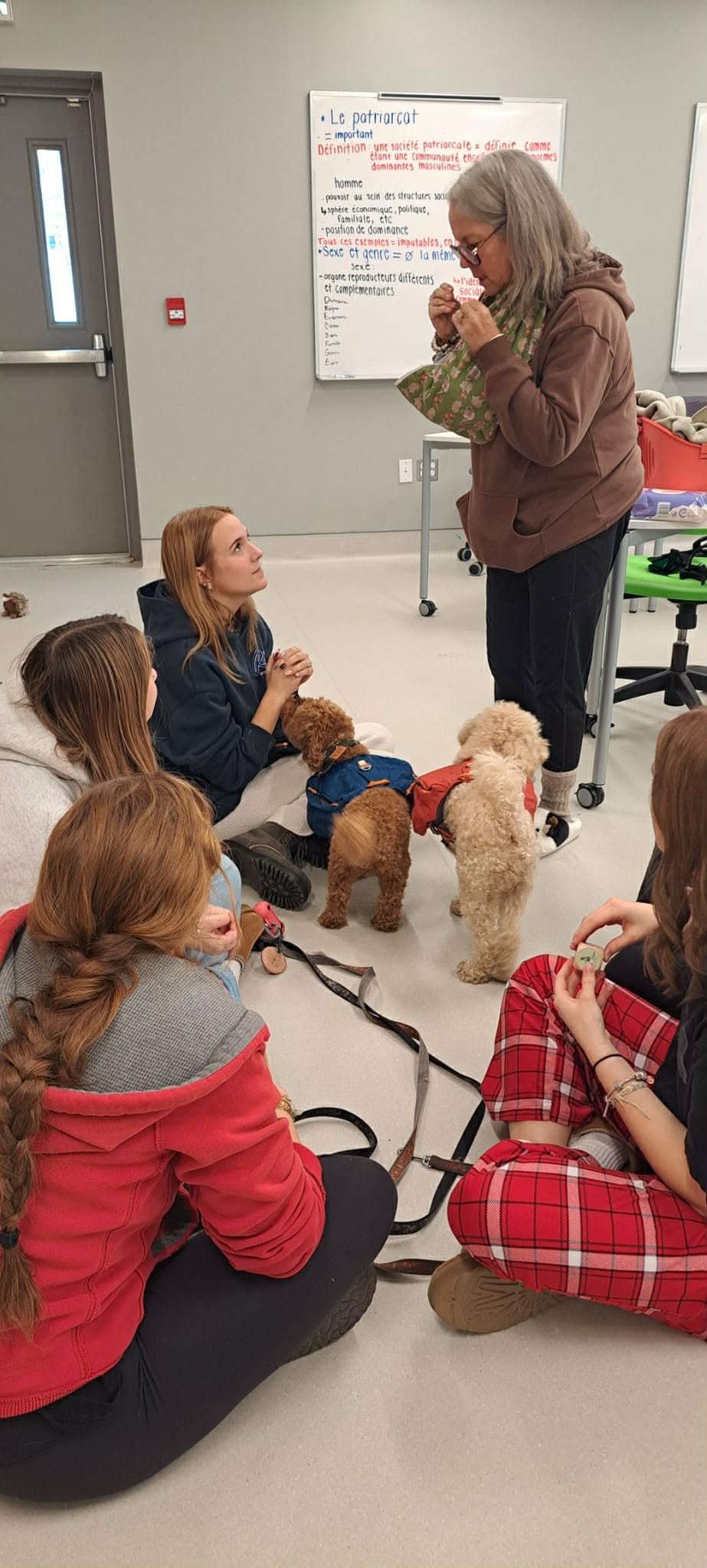 Une femme donne un cours devant un tableau blanc sur le sujet du patriarcat, entourée de plusieurs jeunes filles assises par terre avec des chiens. Le contexte semble être une classe ou un atelier éducatif.
