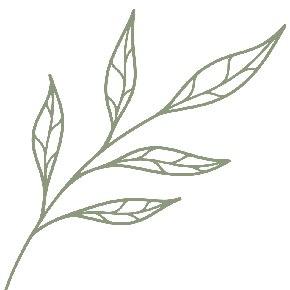 Dessin d'une branche avec plusieurs feuilles stylisées de couleur vert olive.