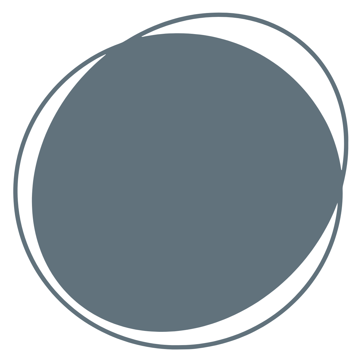 Gray circular object with black outlines and another black outline encircling the inner circle.