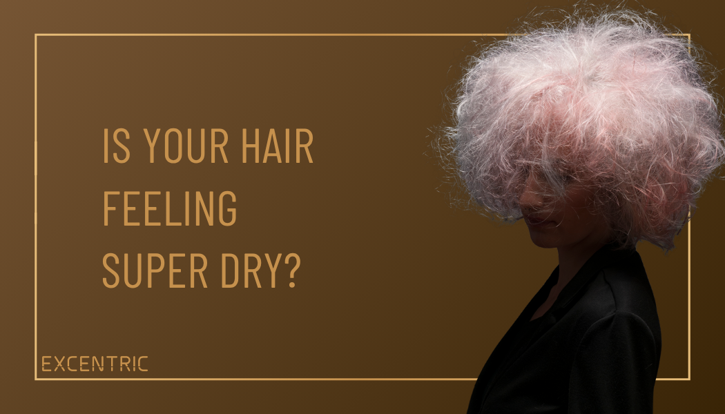 Is your hair feeling super dry?